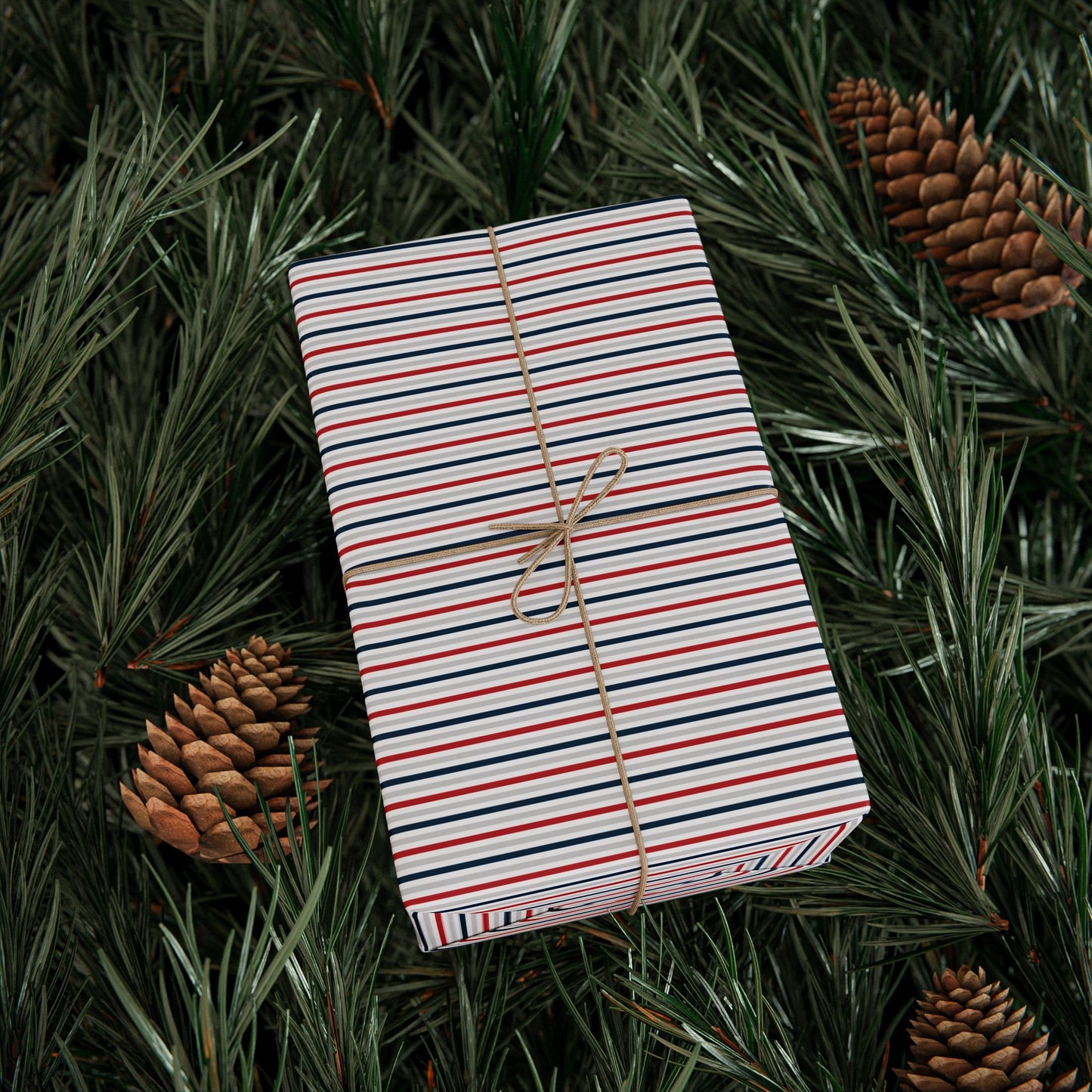 Le Launch Basque Stripe Wrapping Paper