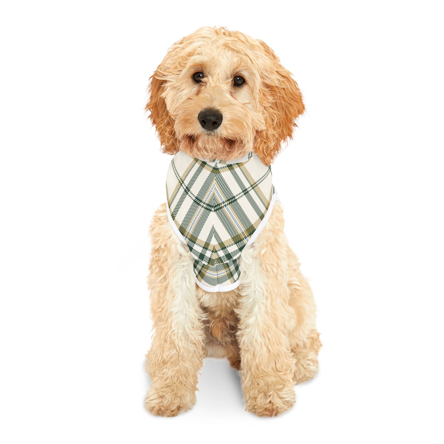 Kelpie Tartan Pet Hoodie